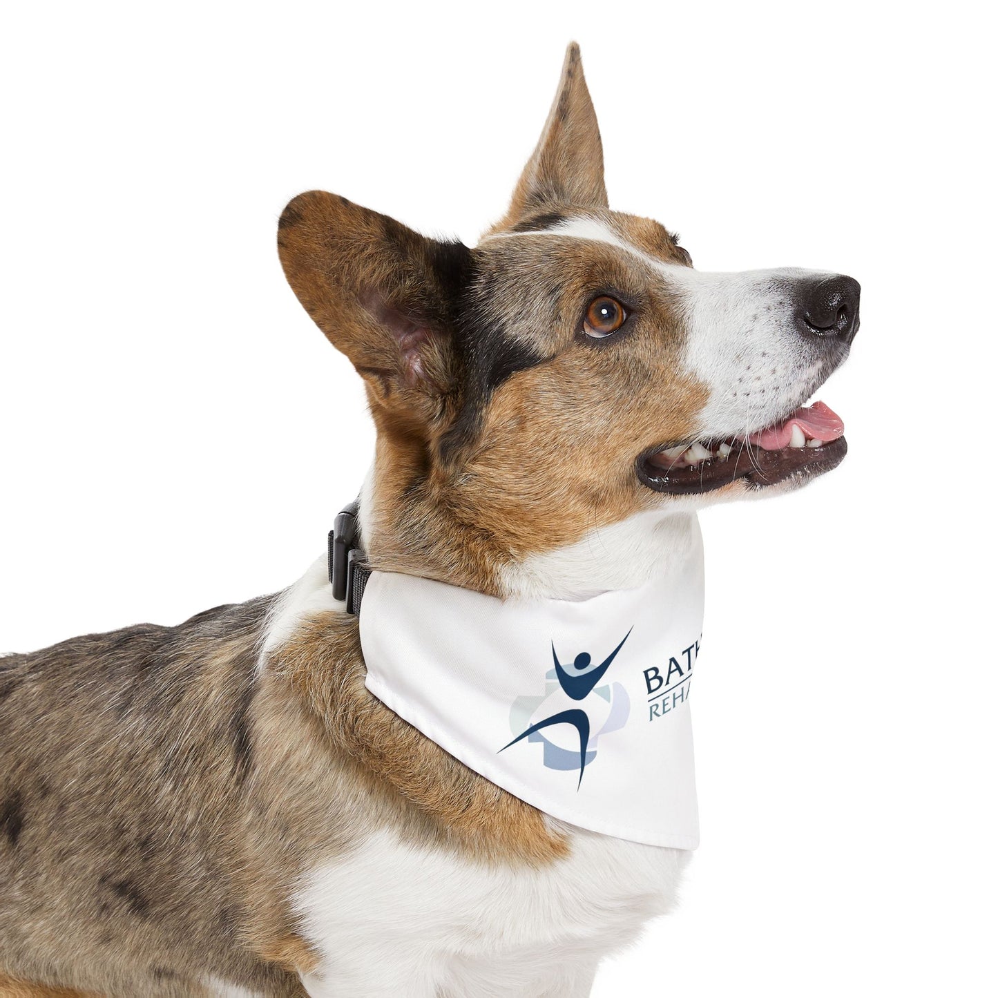 Pet Bandana Collar - Rehab & Wellness