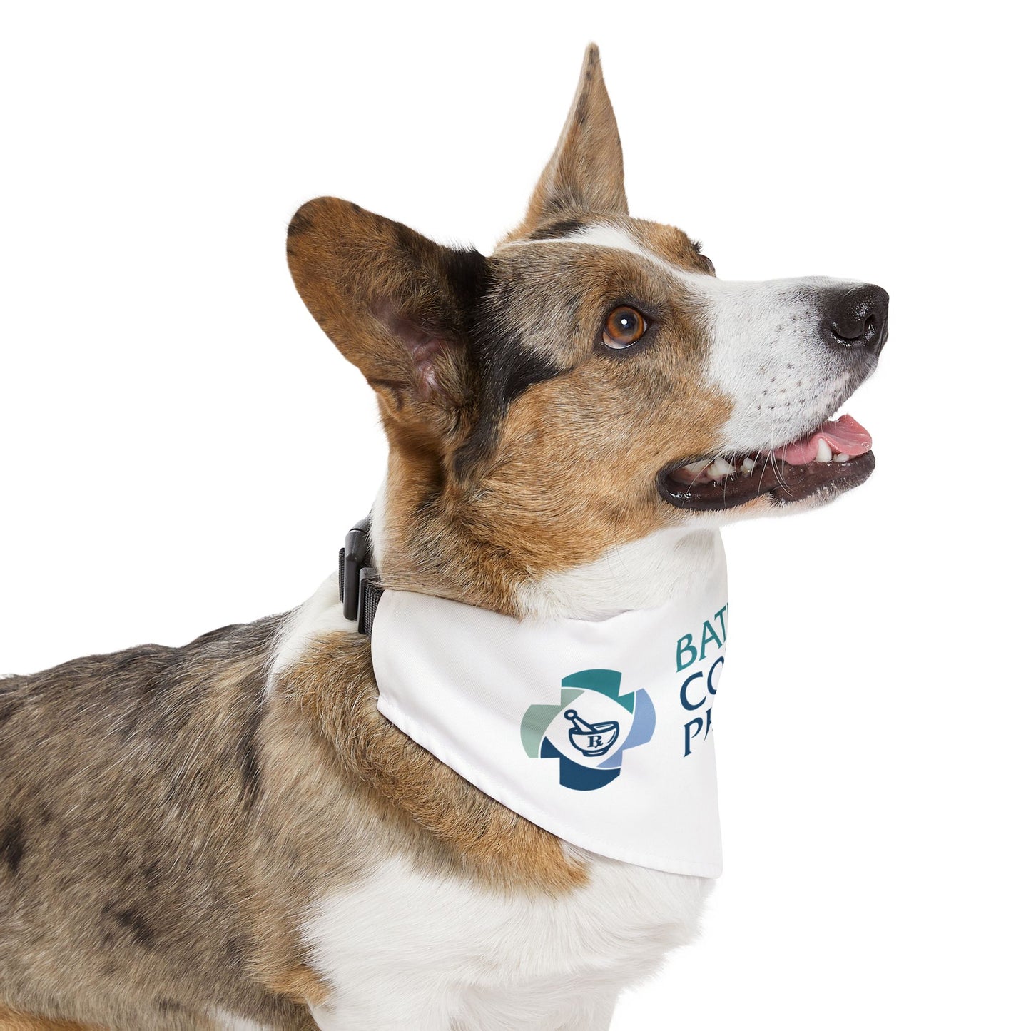 Pet Bandana Collar - Pharmacy