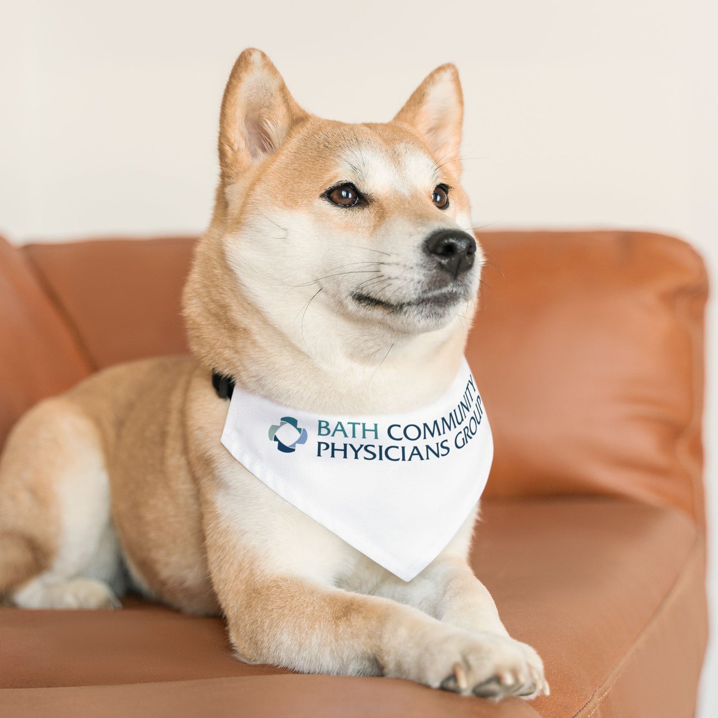 Pet Bandana Collar - Physicians Group