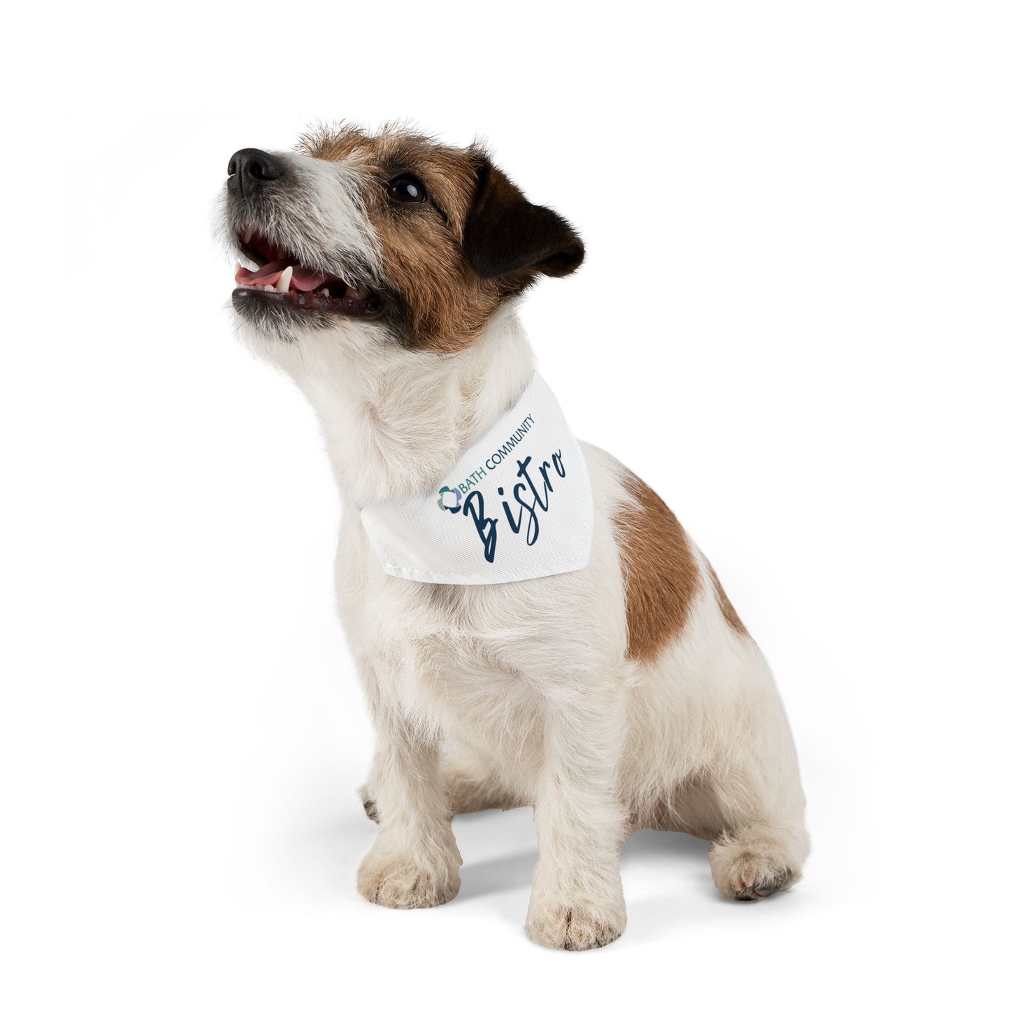 Pet Bandana Collar - Bistro