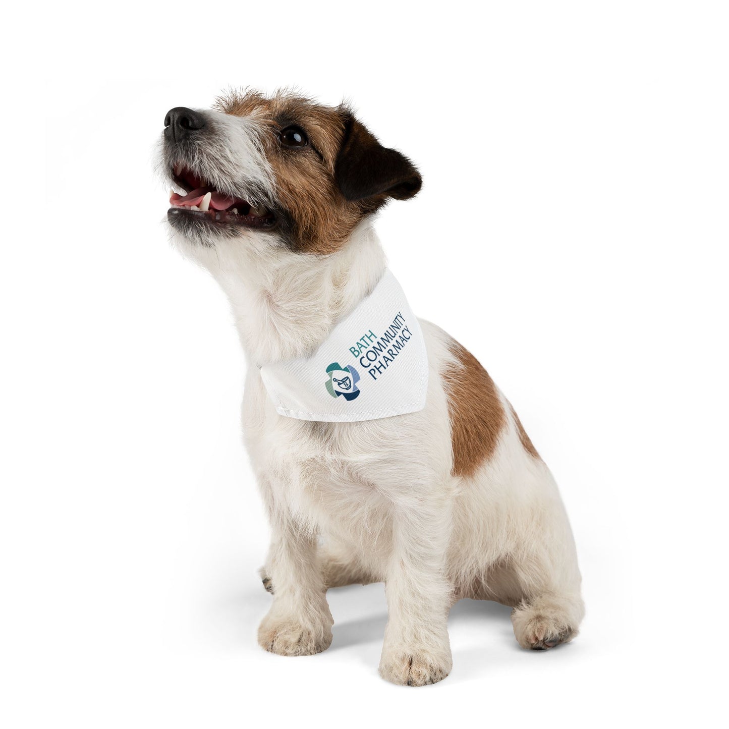 Pet Bandana Collar - Pharmacy