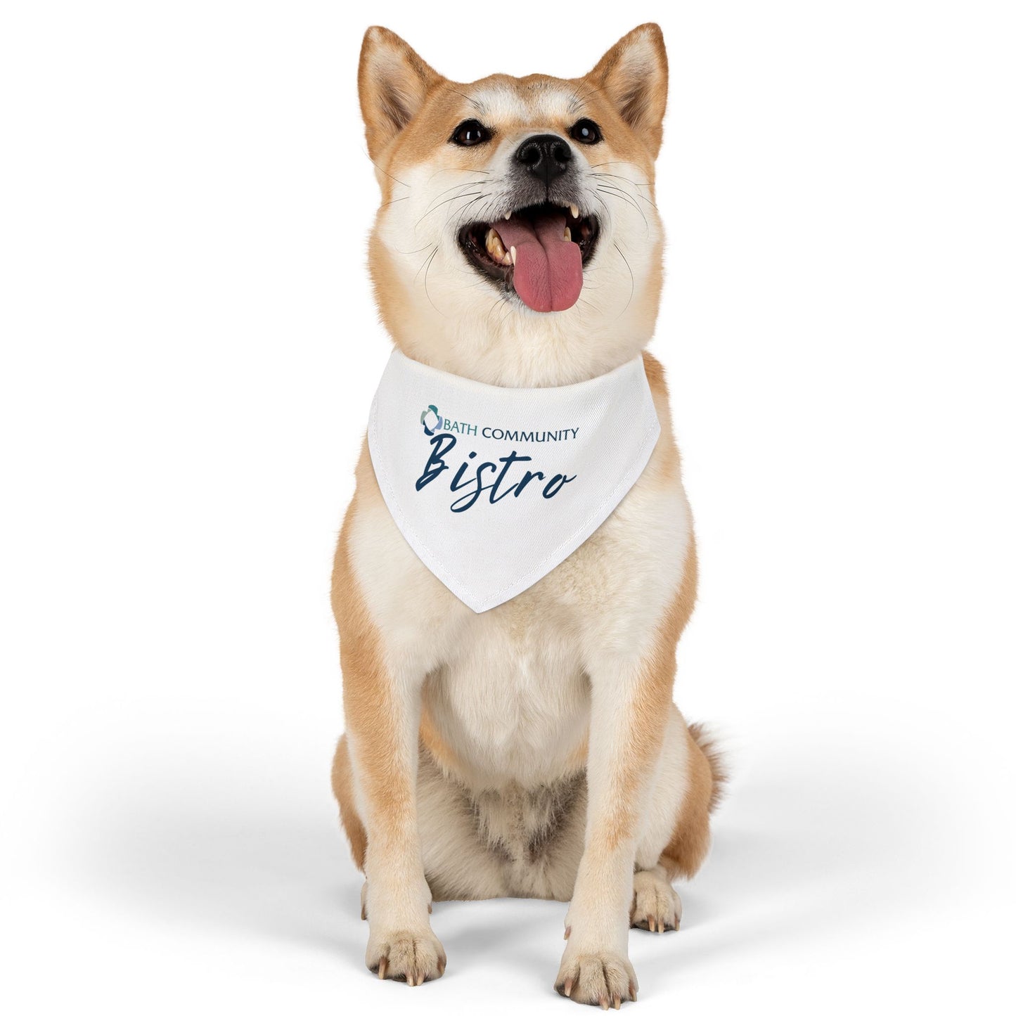 Pet Bandana Collar - Bistro