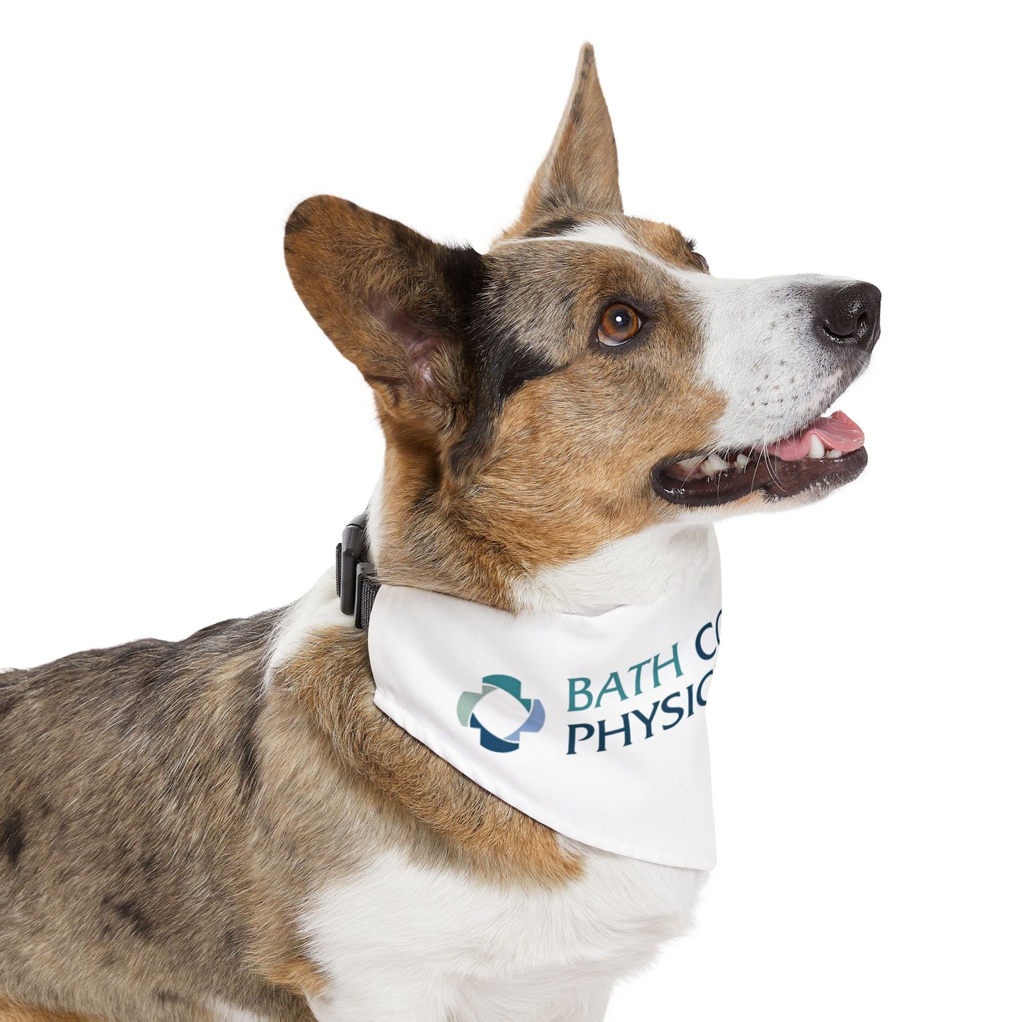 Pet Bandana Collar - Physicians Group
