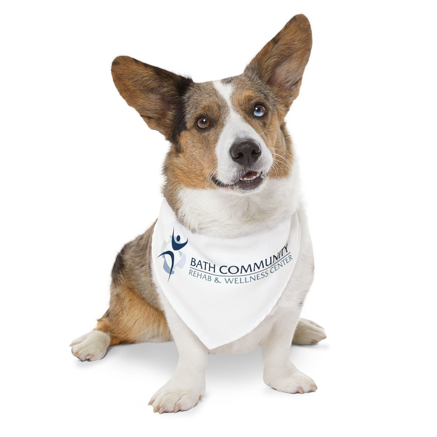 Pet Bandana Collar - Rehab & Wellness