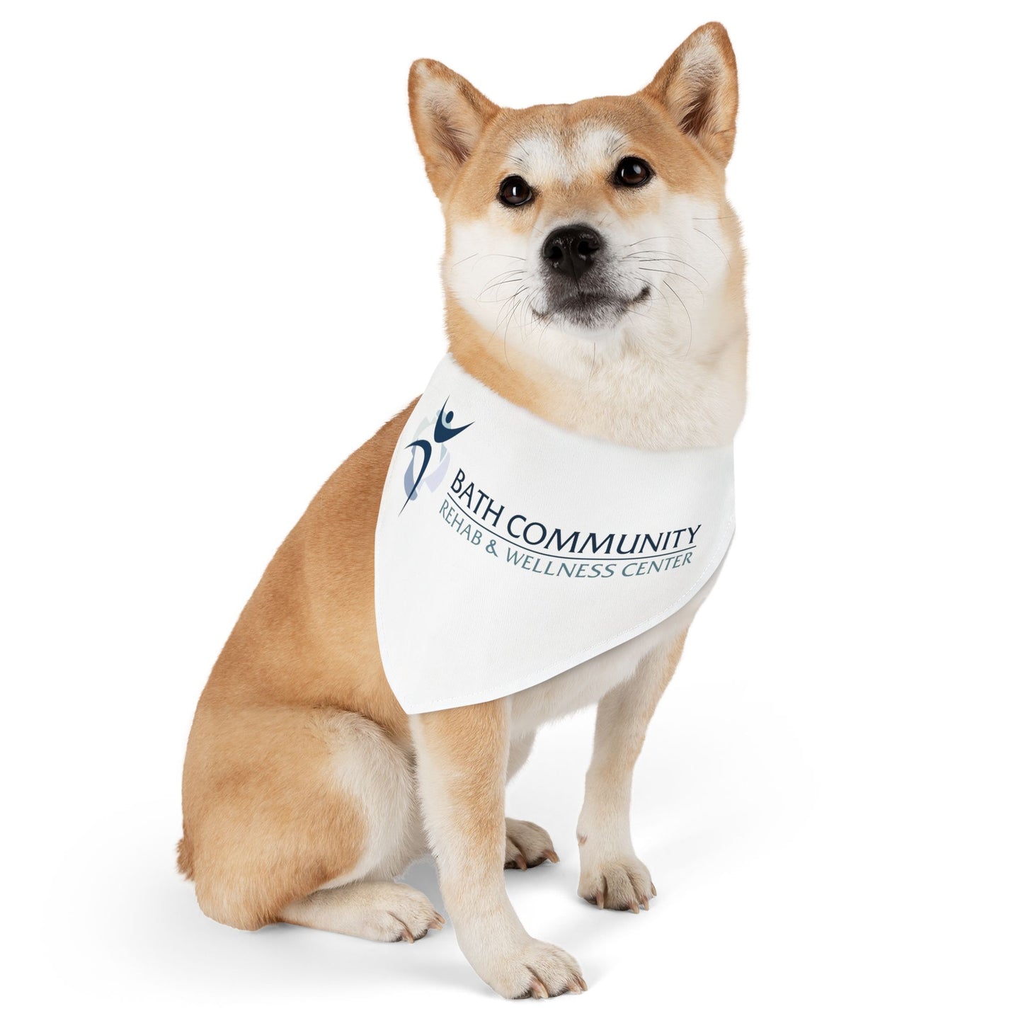 Pet Bandana Collar - Rehab & Wellness