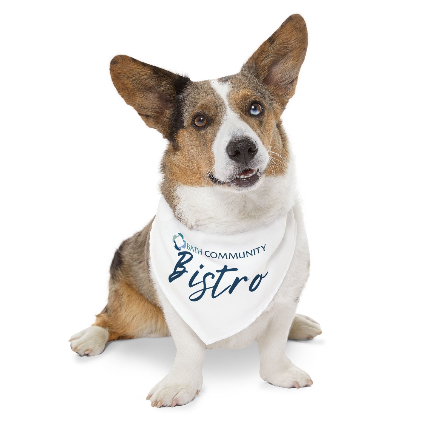 Pet Bandana Collar - Bistro