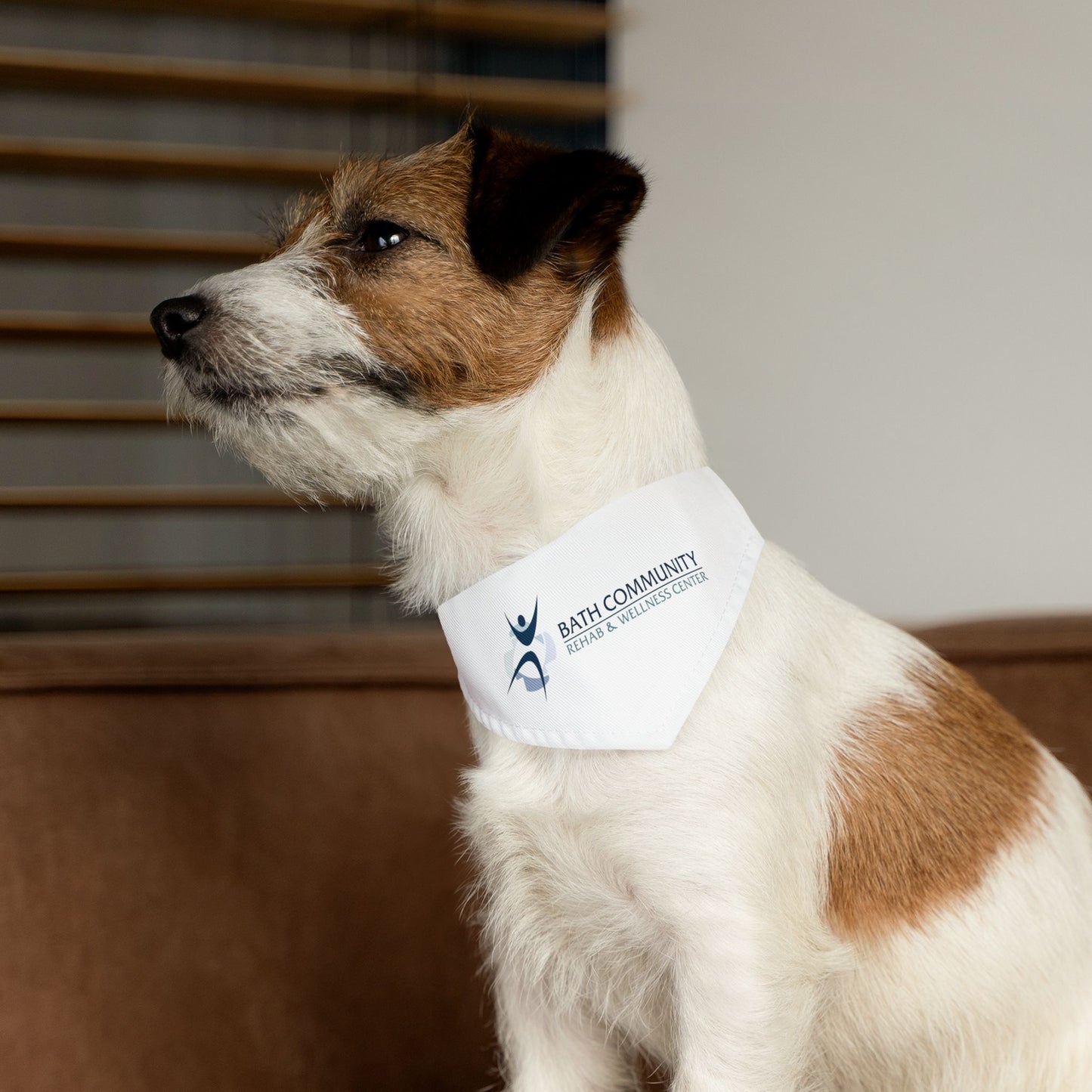 Pet Bandana Collar - Rehab & Wellness