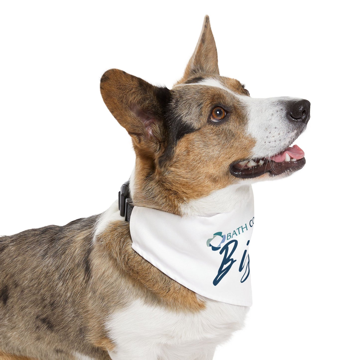 Pet Bandana Collar - Bistro