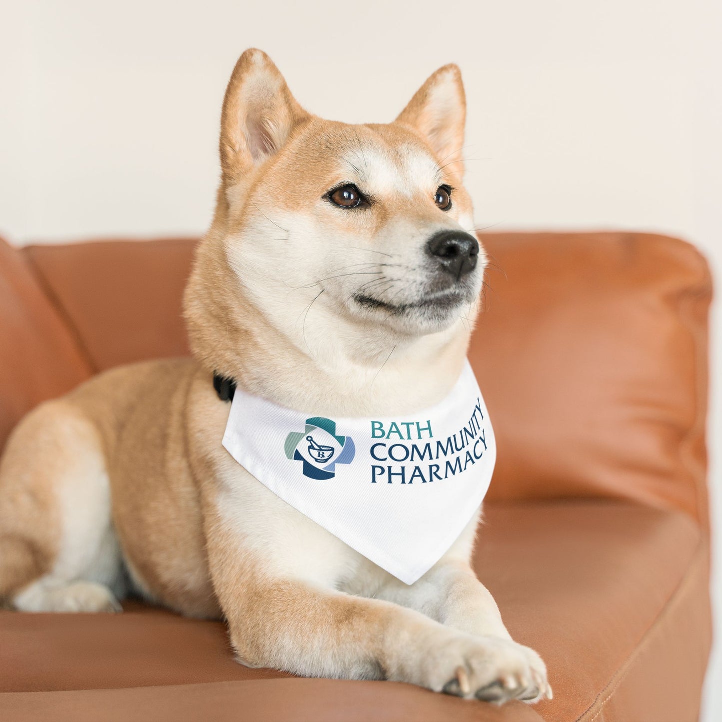 Pet Bandana Collar - Pharmacy
