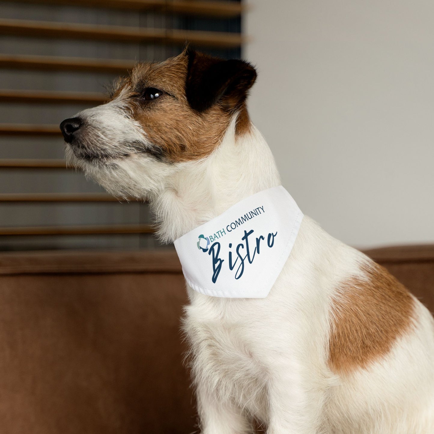 Pet Bandana Collar - Bistro