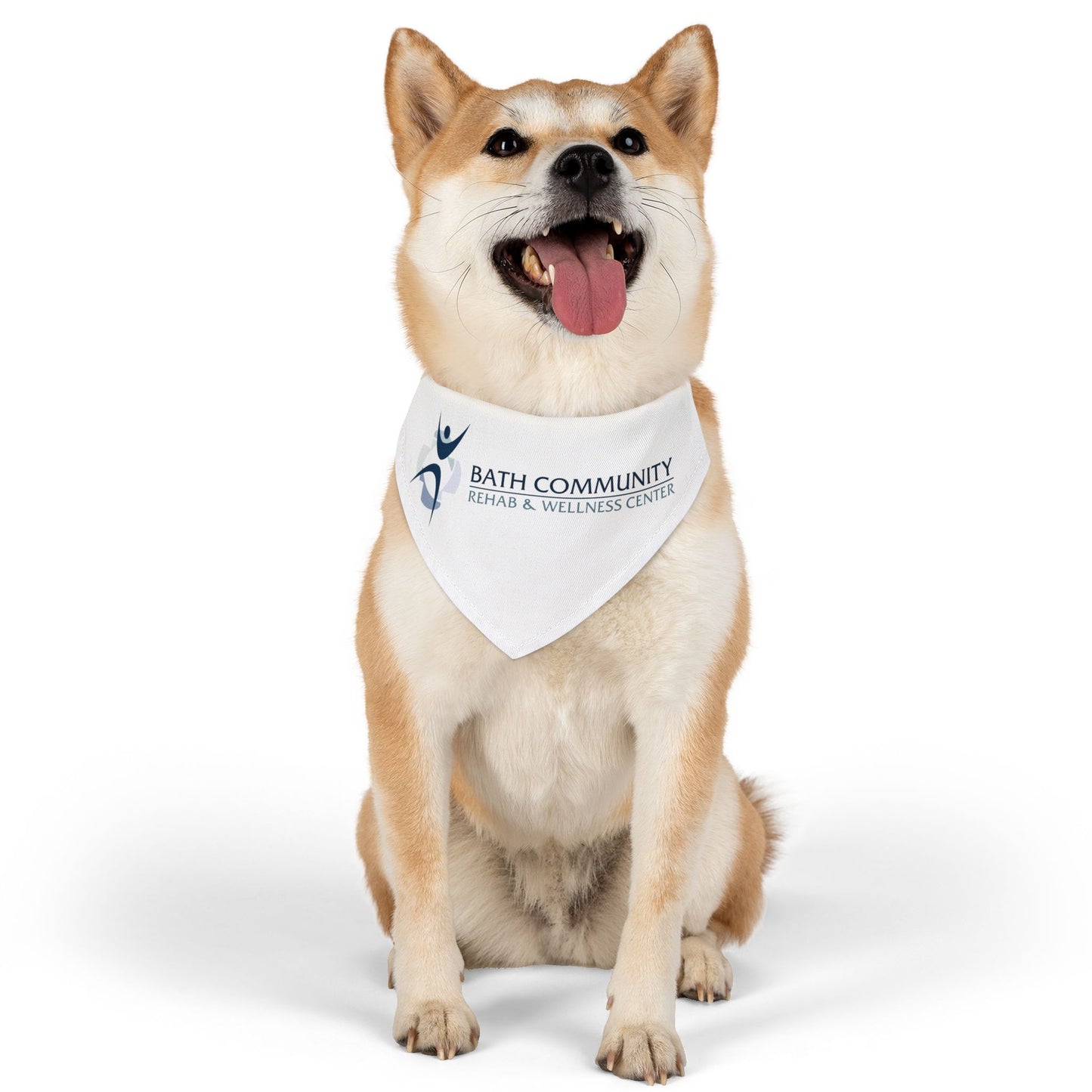 Pet Bandana Collar - Rehab & Wellness